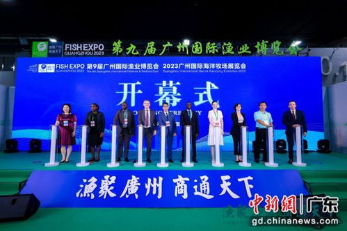 广州国际渔博会集中呈现全品类水产 生猛海鲜亮相