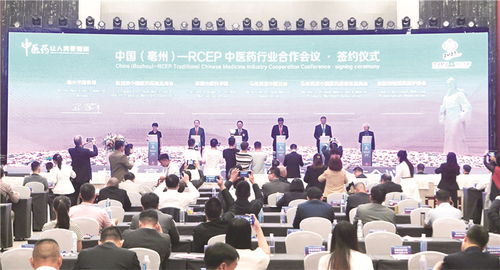 足迹遍五洲,亳药加快 出海之旅 药 向未来 特别报道之一