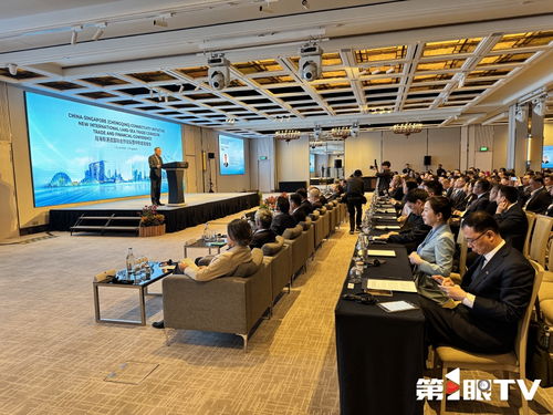 共话合作与发展 2025陆海新通道国际合作论坛暨中新金融峰会在新加坡启动