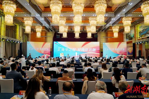 2024海峡两岸 湖南 青年交流发展大会在长沙启幕